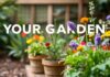 Evdeki Bahçenizi Nasıl Yaşatırsınız? How to Bring Your Garden to Life?