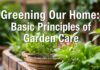 Evimizi Yeşilleştirmek: Bahçe Bakımının Temel İlkeleri Greening Our Home: Basic Principles of Garden Care