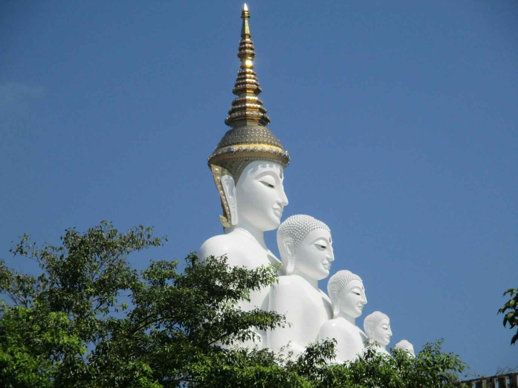 Bitlenme Sorununa Ne Yapmalı?