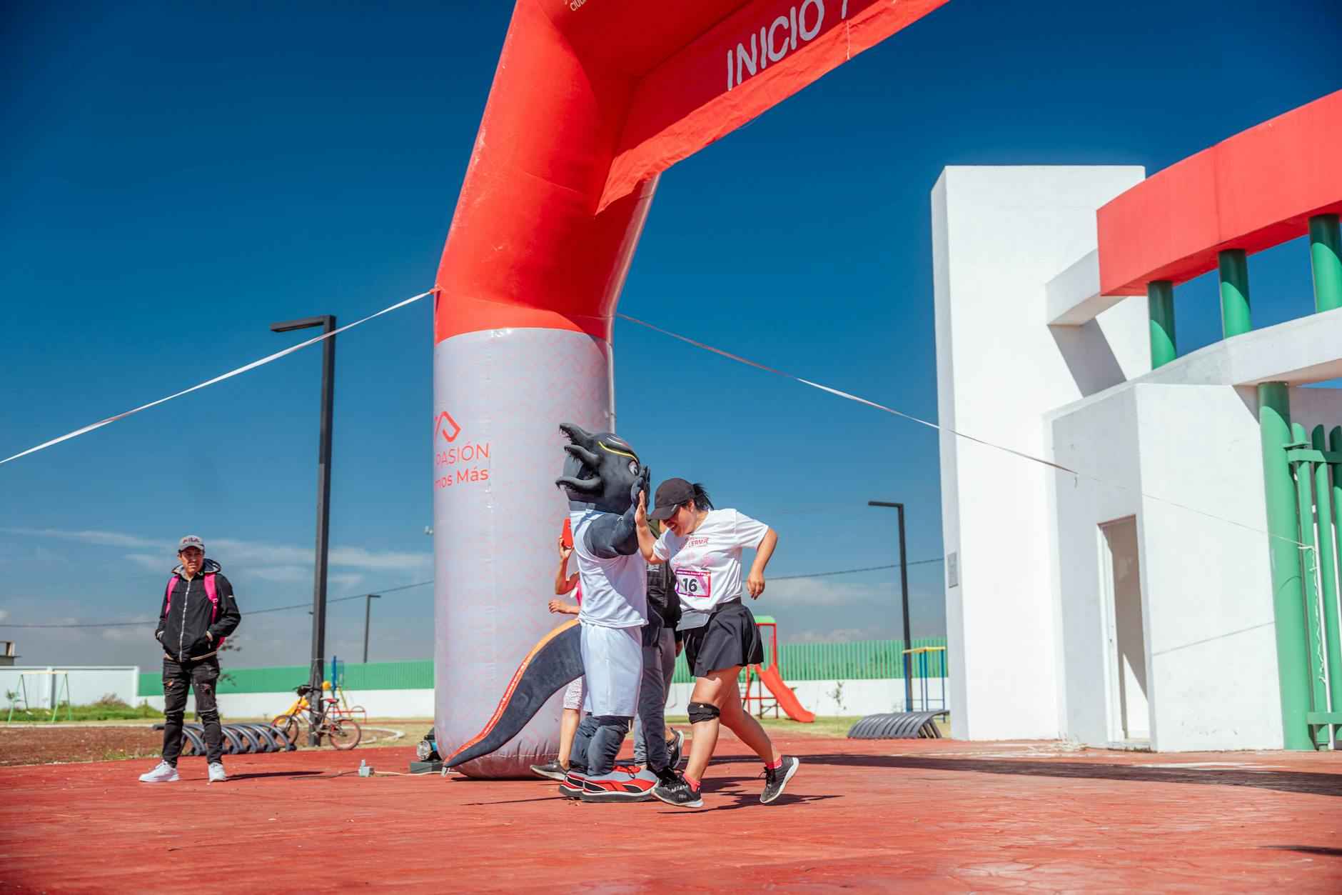 Kene Kontrolü İçin En İyi Ürünler