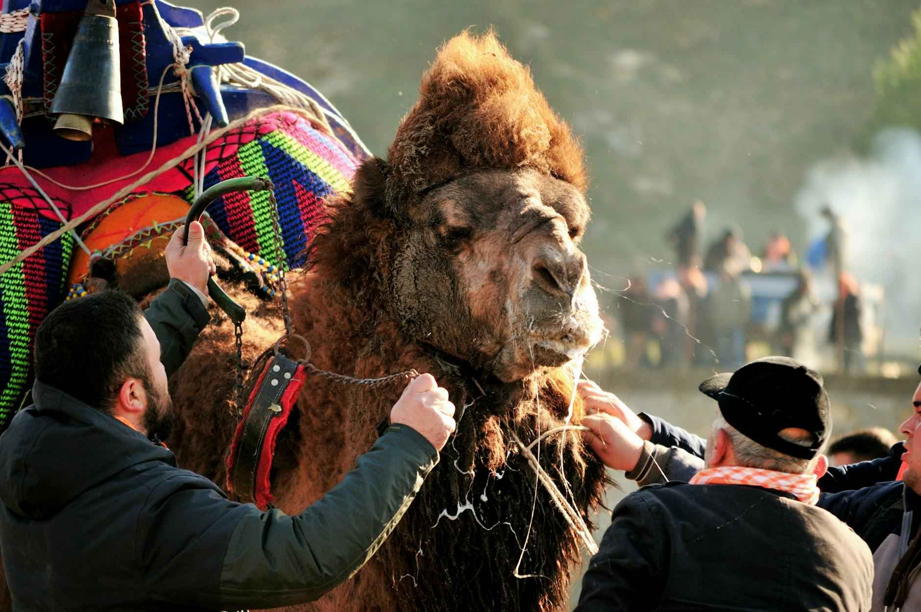 Kene Riskini Azaltmanın 7 Pratik Yolu